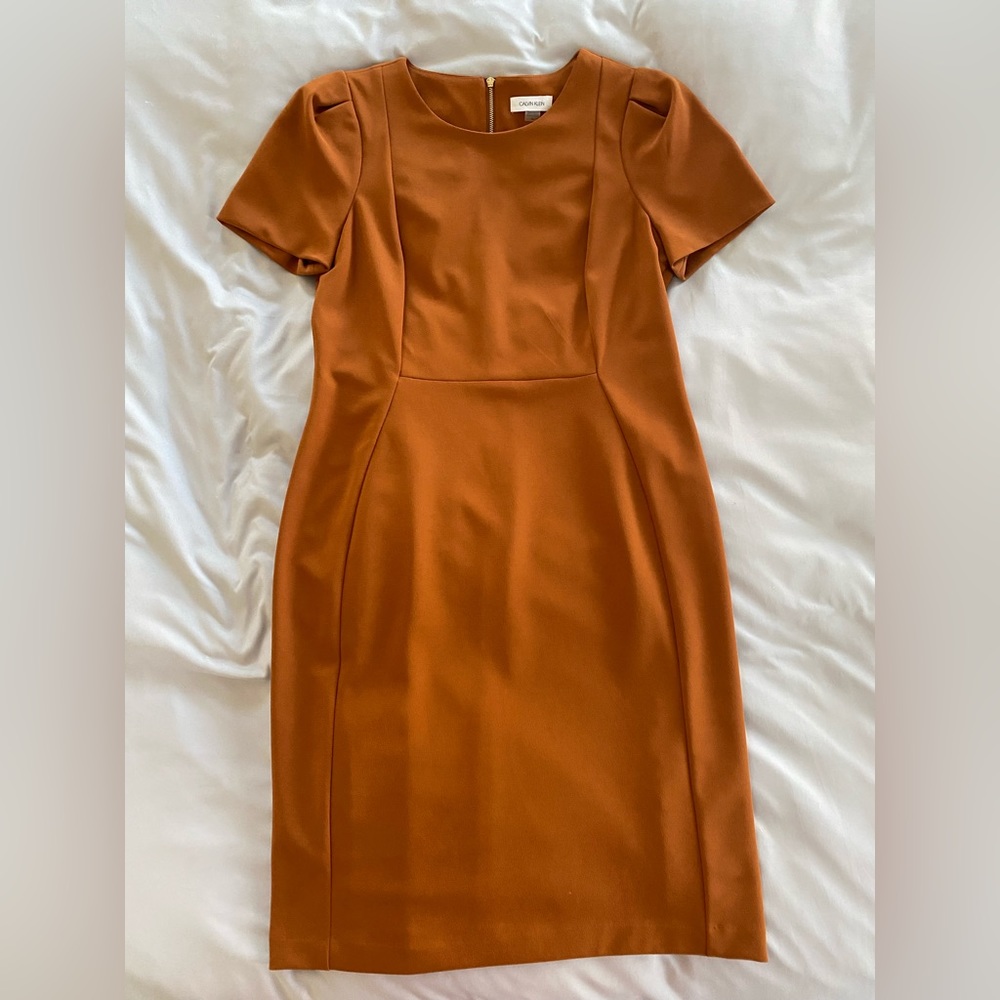 Calvin Klein Burnt Orange Tulip Sleeve Dress